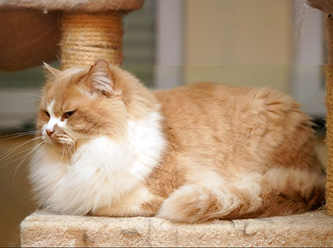 Hendrik am 27.01.2026